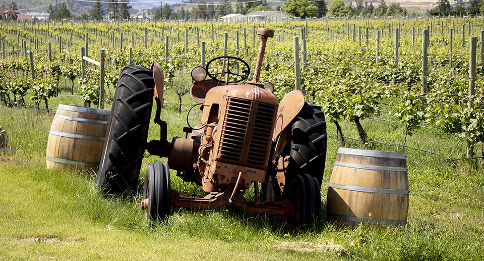 Winery in West Kelowna | Photo copyright (c) 2020 Miles Overn Photography