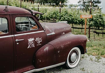 Image of Blind Tiger website